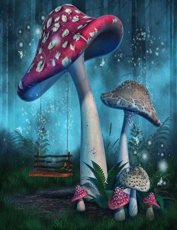 Magic Mushrooms / Albino Bluey Vuitton - Image 3