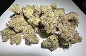 Zombie OG Kush / Indica Dominant Strain