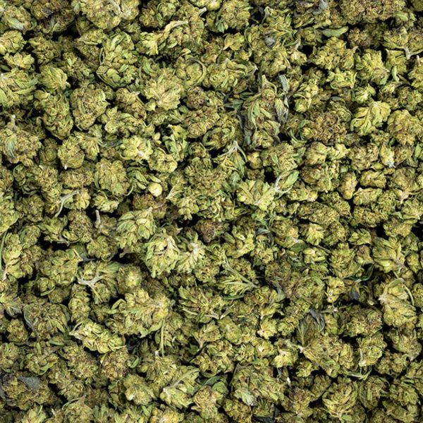 Garlic Cocktail / Girl Scout Cookies and Mimosa / Hybrid Dominant Strain (40% indica / 60% sativa)