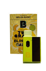 Blinkers Disposable Pens 2 grams (Melon Burst) Hybrid