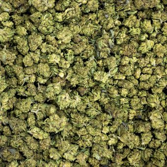 Fire OG Kush (OR) Ice Cream Cake / Indica-Dominant Hybrid / Special / 25.00 for 7 Grams