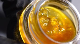 Tropical Runtz / Live Resin Sauce / Sativa-dominant hybrid /