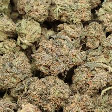 Cookies & Cream /  Indica-Dominant Hybrid / Exotic Strain