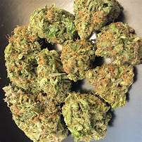 Sour Garlic Bread Kush / Exotic Strain / sativa-dominant hybrid