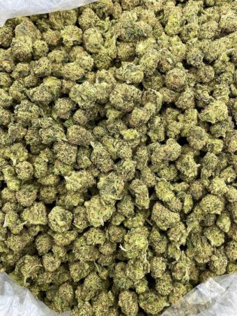 Strawberry Shortcake (aka Strawberry Cupcake) Indica