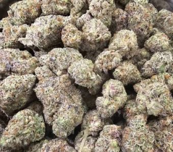 Oreoz Cookies / Indica / 29-31% average THC level